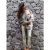 Babucha Abbie - comprar online