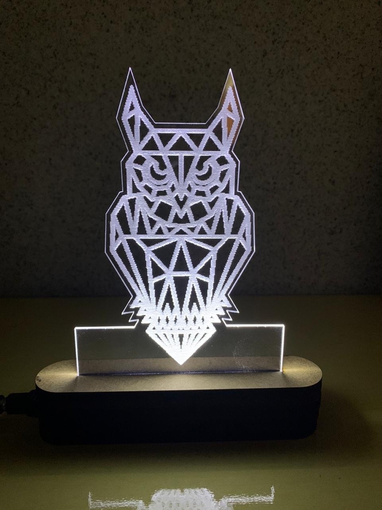 Luminaria de Acrilico Led Coruja