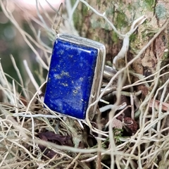 Anillo de plata y Lapislazuli en internet