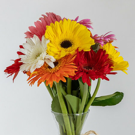 Vaso de corda com Gerbera - Flowers by Ruth Hakim