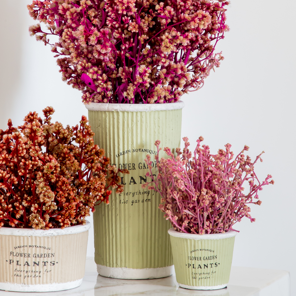 Kit flores secas - Comprar em Flowers by Ruth Hakim Kit flores secas - Comprar em Flowers by Ruth Hakim