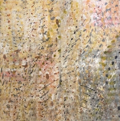 AS058. STIER. 200 x 200 Cm.