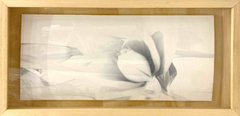 SC040. Castiglione.