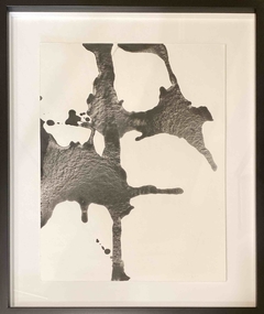 Rubinsons. RS075.