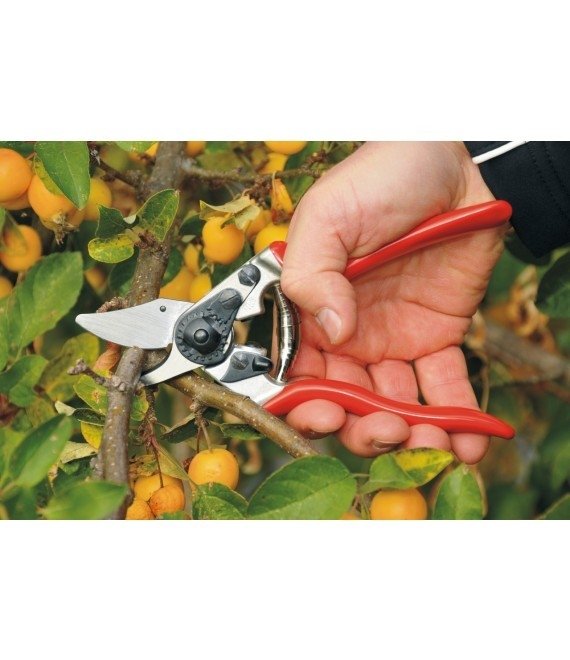 TIJERA DE PODAR ERGONÓMICA COMPACTA FELCO 6