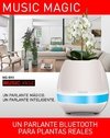 Parlante bt florero - comprar online