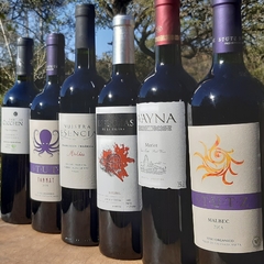 Banner de la categoría Vinos
