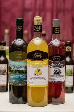 Licor fino Beney Arándanos 750ml cajax6