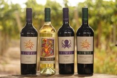 Stutz Vino Orgánico de Altura (4 varietales disponibles - tienda online
