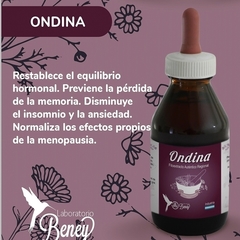 Fitoextracto Beney 10 variedades disponibles
