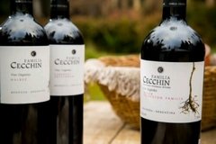 Familia Cecchin 7 varietales clásicos y 1 especial - comprar online