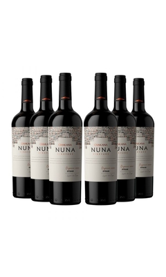 Chakana Nuna Vineyard 1 x 750 ml) Orgánico y Biodinámico 6 variedades disponibles - tienda online