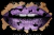 Violet Wall Black