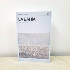 La bahía de Cynan Jones