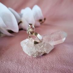 ANILLO ROCK en internet