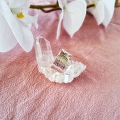 ANILLO SOPHIE en internet