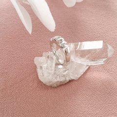 ANILLO FLEE en internet