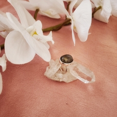 ANILLO LANDO - comprar online