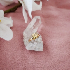 ANILLO CROWN