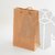 Bolsa de papel kraft con manijas en internet
