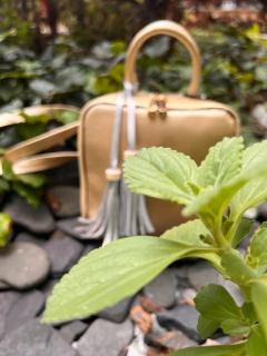 BOLSO BANDOLERA LUXURY DORADO - buy online