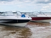 Nikita 470 Open STD en internet