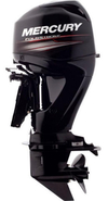 60ELPT4S EFI CT en internet