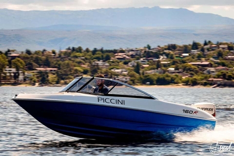 Piccini 160 en internet