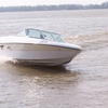 Rinha 510 Open - comprar online