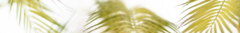 Banner de la categoría Plantas Artificiales