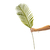 Hoja Areca Palm M 105 cm