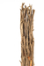 LUMINARIA DE RAIZ NATURAL DE TECA - comprar online