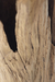 Imagen de LUMINARIA CON BASE DE RAIZ DE TECA NATURAL