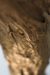 LUMINARIA CON BASE DE RAIZ DE TECA NATURAL - comprar online