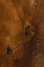 APLIQUE NAGA MADERA MACIZA DE TECA