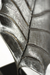 Imagen de HOJA DECORATIVA CON BASE BLACK