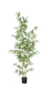 BAMBOO XL 210 CM