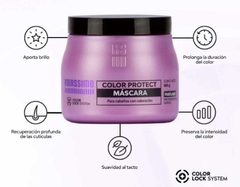 MASCARA COLOR PROTEC HAIRSSIME X 300ML CABELLOS CON COLOR