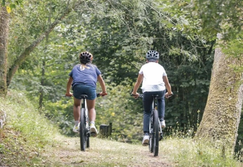 CASCOS CATLIKE MODELO KITTEN PARA NIÑOS - Newbikes Argentina - Viví tu Mundo en Bici - Tienda de Bicicletas