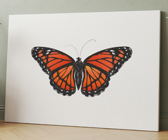 ORANGE AND BLACK BUTTERFLY