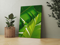 Tropical - comprar online