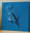Ballenas