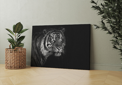 Black Tiger - comprar online