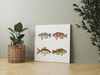PECES EXOTICOS