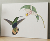 Bird 3