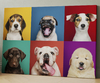 Puppies