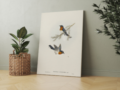 Bird 5 - comprar online