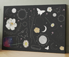 UNIVERSE BUTTERFLY
