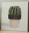 Cactus Minimal