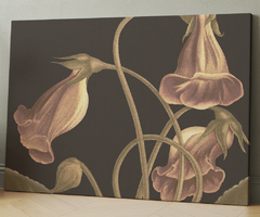 Vintage Floral